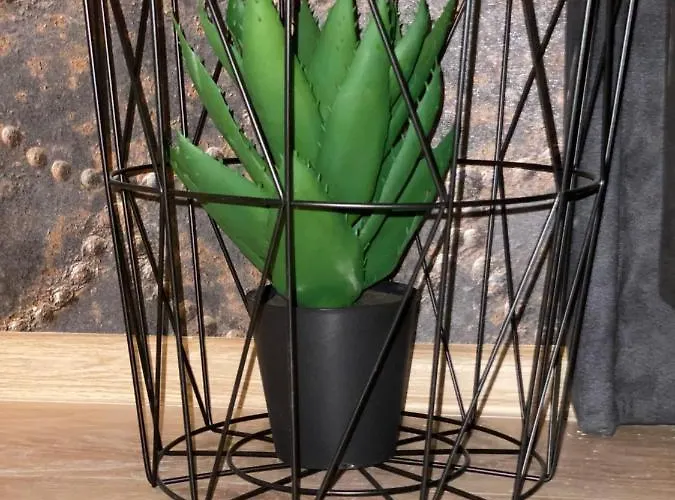 Stylish Urban New 2021 Close To The Várna